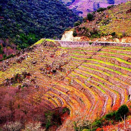 Castelodobispo - Ourense Sobrado del Obispo Εξωτερικό φωτογραφία