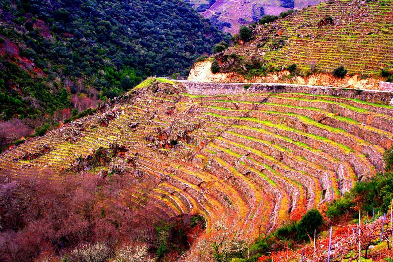 Castelodobispo - Ourense Sobrado del Obispo Εξωτερικό φωτογραφία